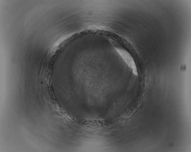 X0000111580919200908061321