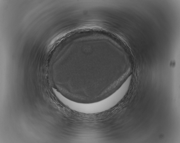 X0000111580920200908061321