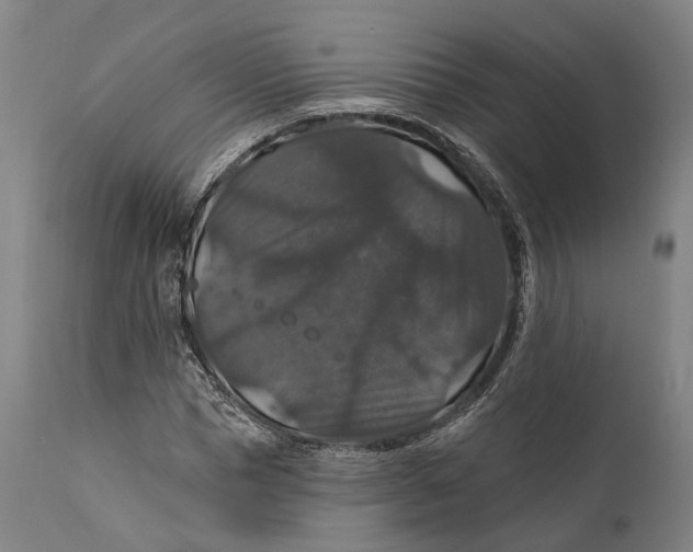 X0000111580921200908061321