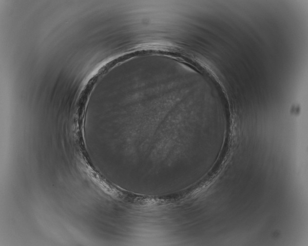 X0000111580923200908061321