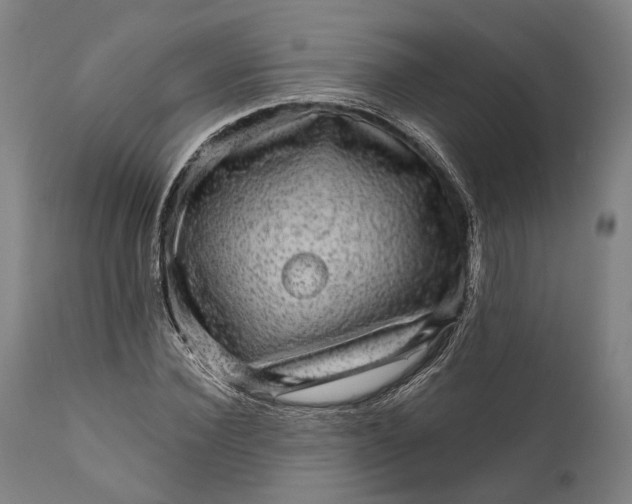 X0000111580924200908061321