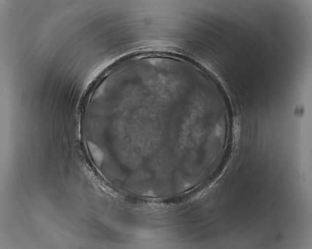 X0000111580925200908061321