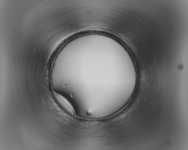 X0000111580926200908061321