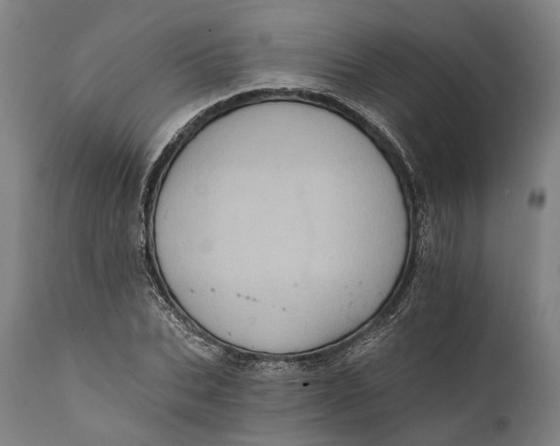 X0000111580927200908061321