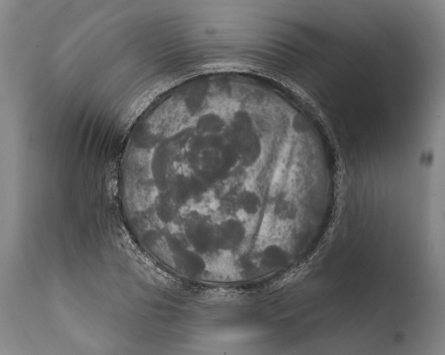 X0000111580929200908061321