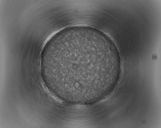 X0000111580933200908061321