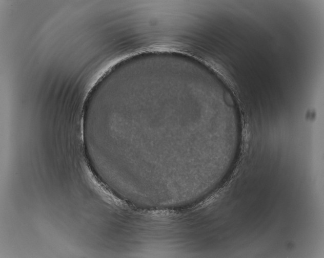 X0000111580934200908061321