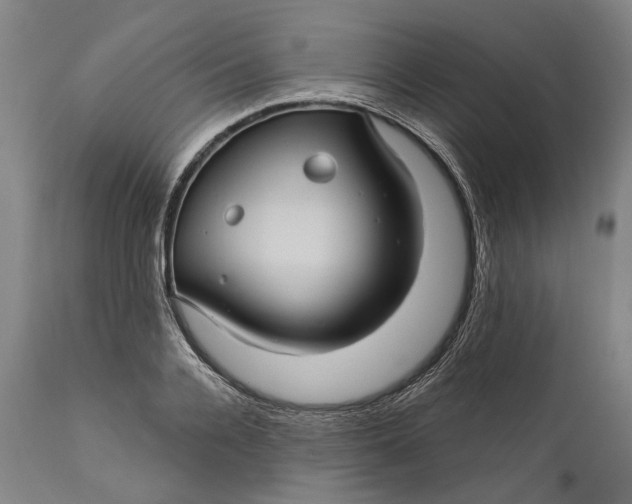 X0000111580936200908061321