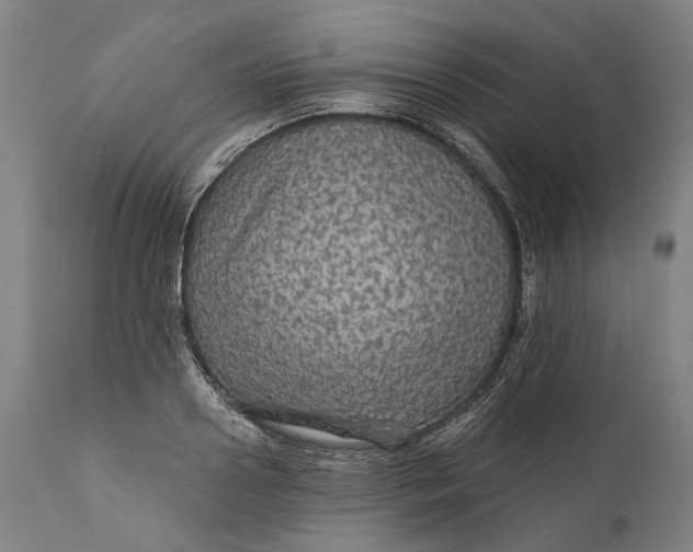 X0000111580938200908061321