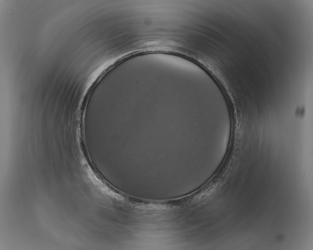 X0000111580941200908061321