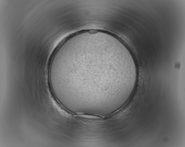 X0000111580942200908061321