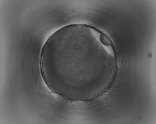 X0000111580943200908061321