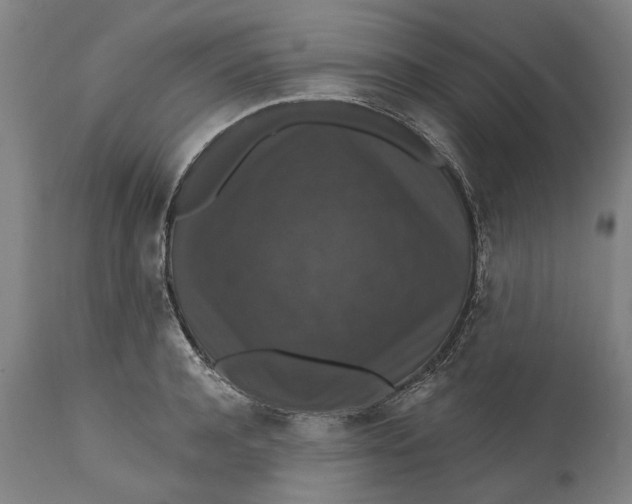 X0000111580944200908061321