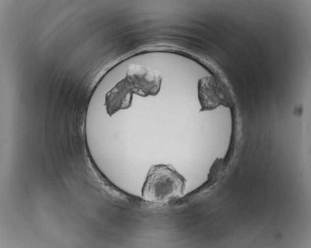 X0000111580945200908061321