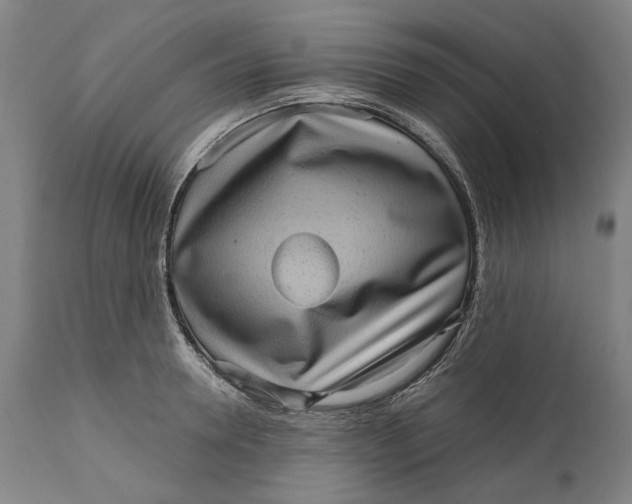 X0000111580946200908061321