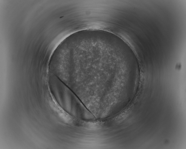 X0000111580948200908061321