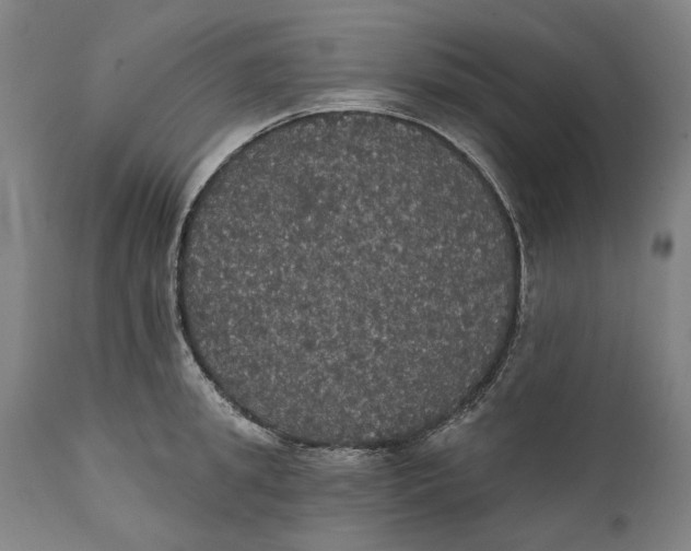 X0000111580949200908061321