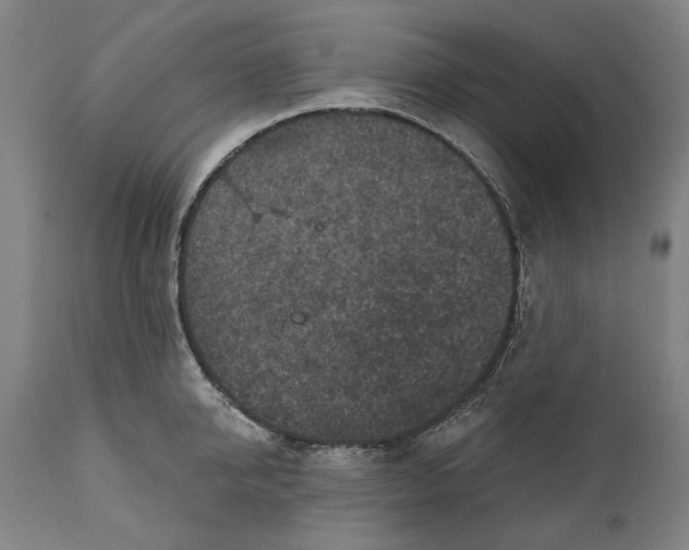 X0000111580950200908061322