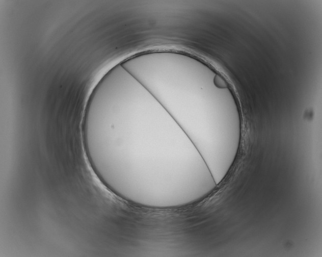 X0000111580951200908061322