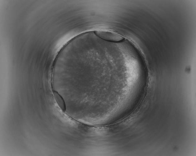 X0000111580952200908061322