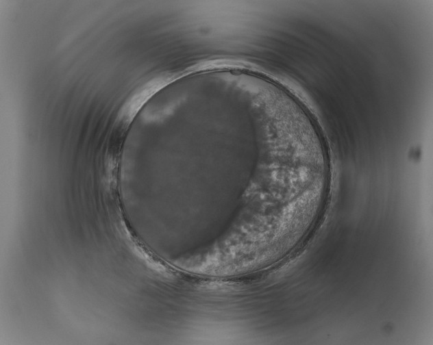 X0000111580953200908061322