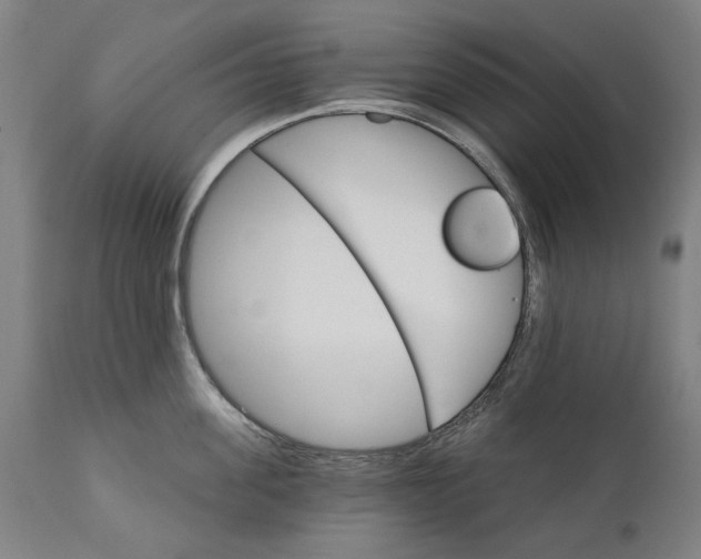 X0000111580955200908061322