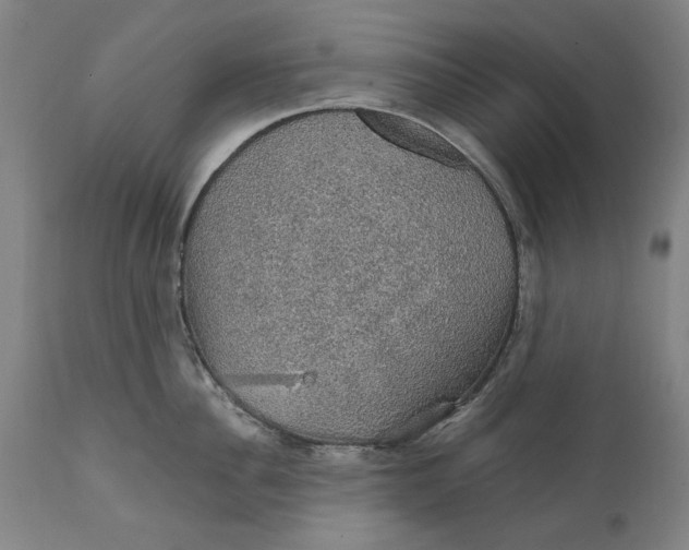 X0000111580956200908061322