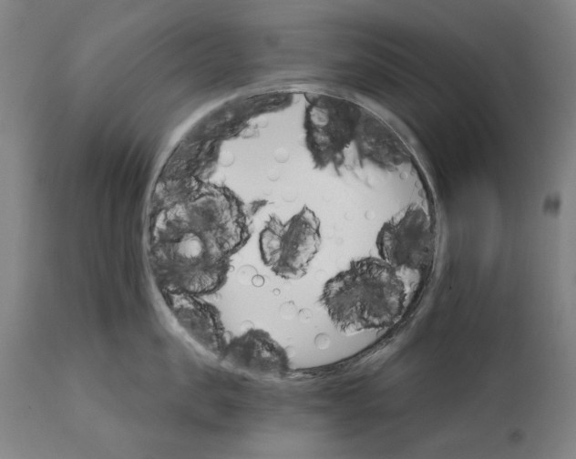 X0000111580957200908061322