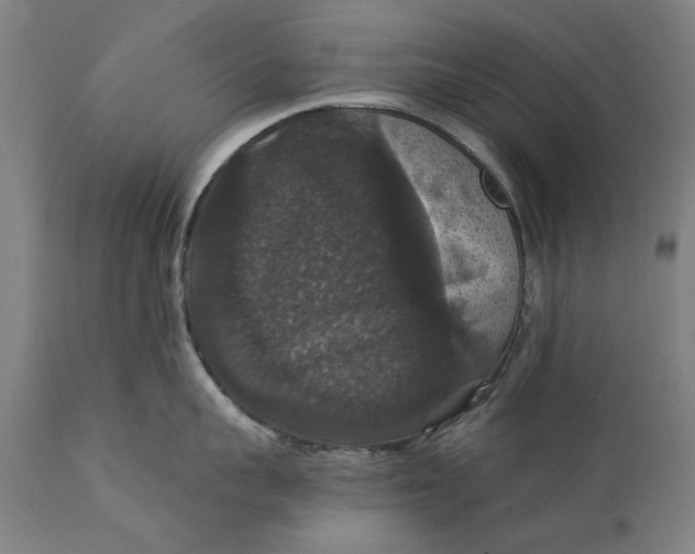 X0000111580959200908061322