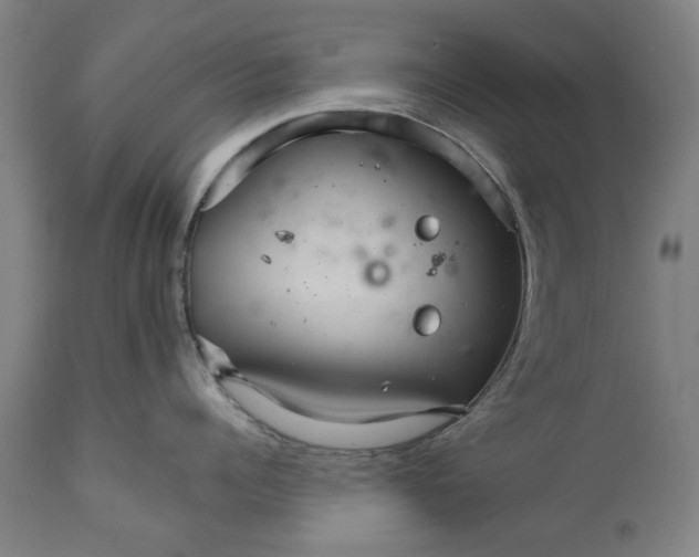 X0000111580960200908061322