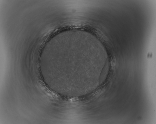 X0000111580961200908061321