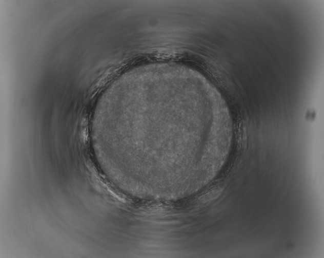 X0000111580962200908061321