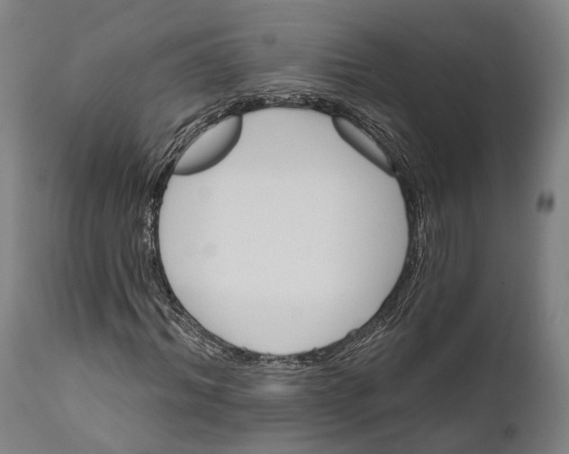 X0000111580964200908061321