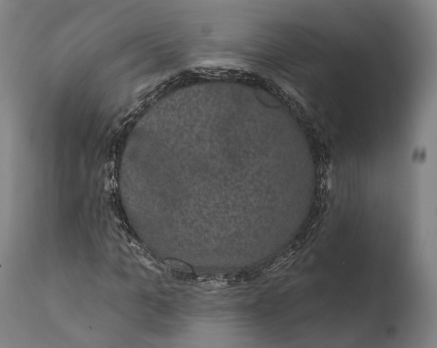 X0000111580965200908061321