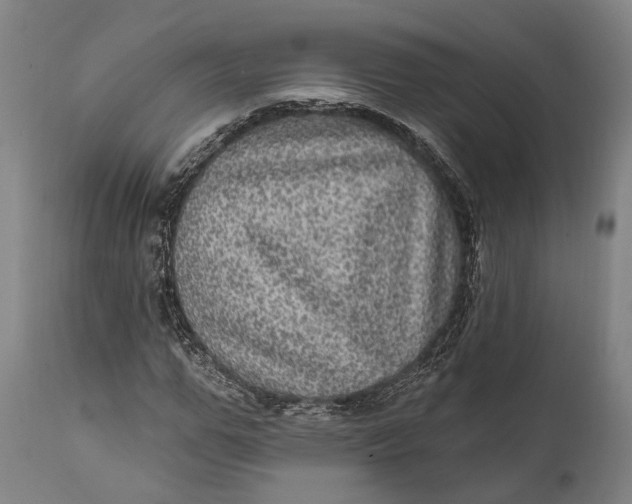 X0000111580967200908061321