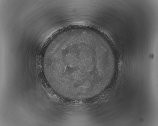 X0000111580968200908061321