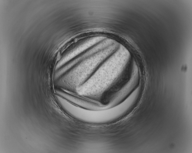 X0000111580969200908061321