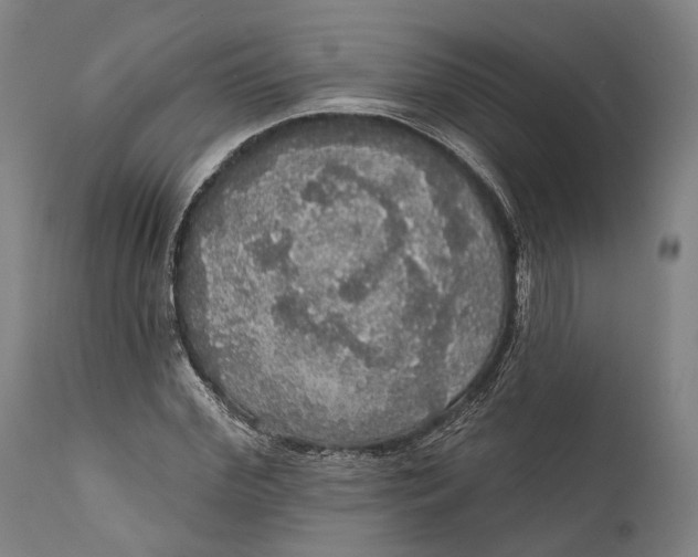 X0000111580972200908061321