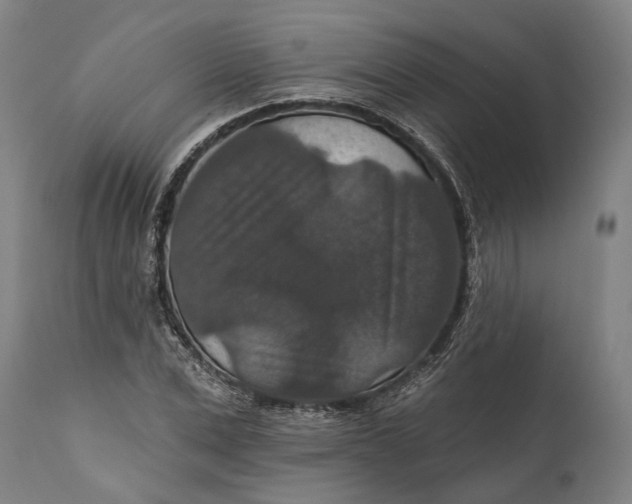 X0000111580975200908061321