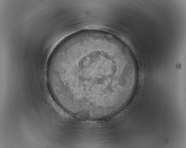 X0000111580976200908061321