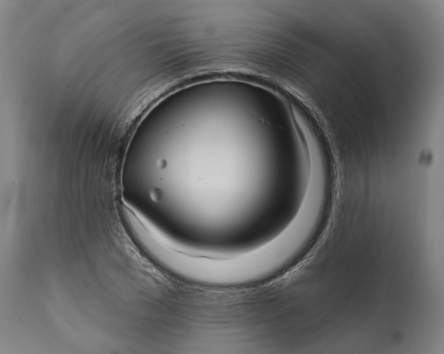 X0000111580977200908061321