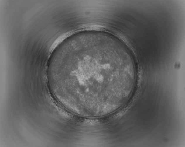 X0000111580978200908061321