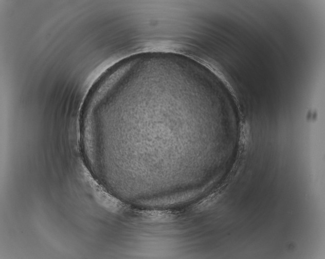 X0000111580980200908061321