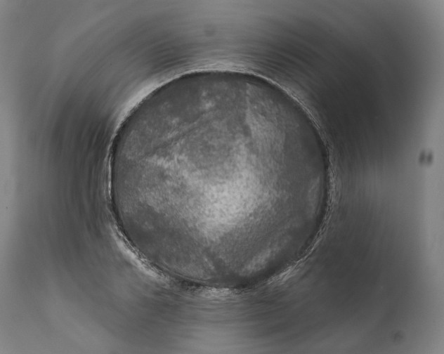 X0000111580982200908061321