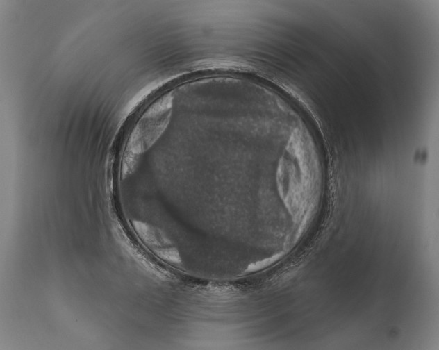 X0000111580983200908061321