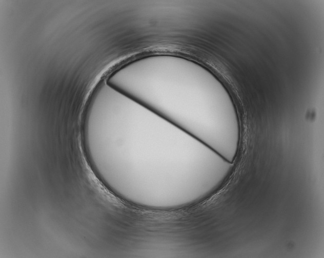 X0000111580984200908061320