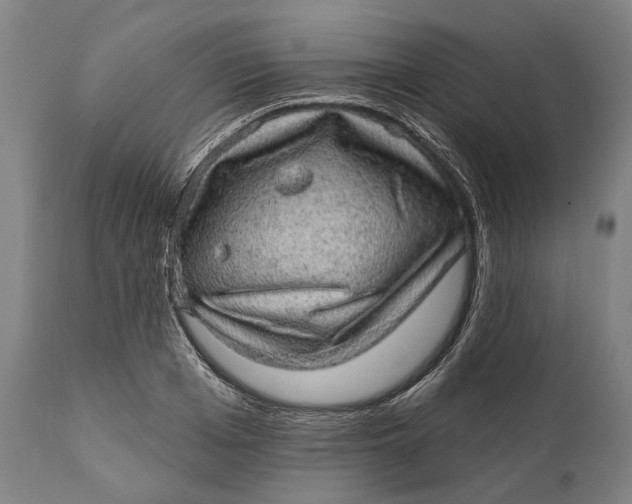 X0000111580985200908061320