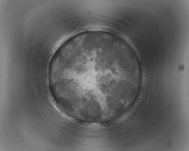 X0000111580986200908061320