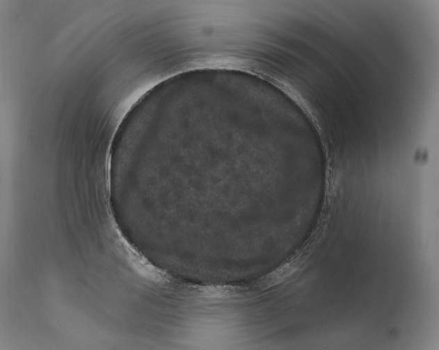 X0000111580988200908061320