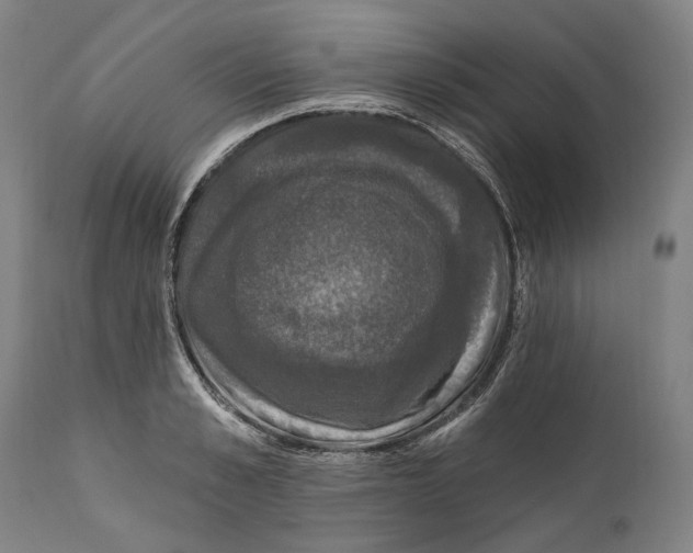 X0000111580989200908061320